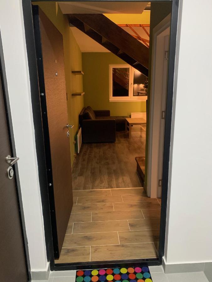 G&D Apartment קופאוניק מראה חיצוני תמונה